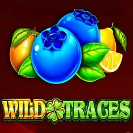 Play Wild Traces slot by Amusnet Interactive on whamoocasino.es